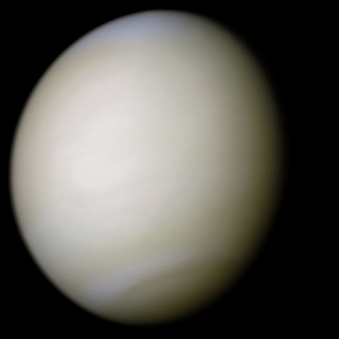 imagen de Venus